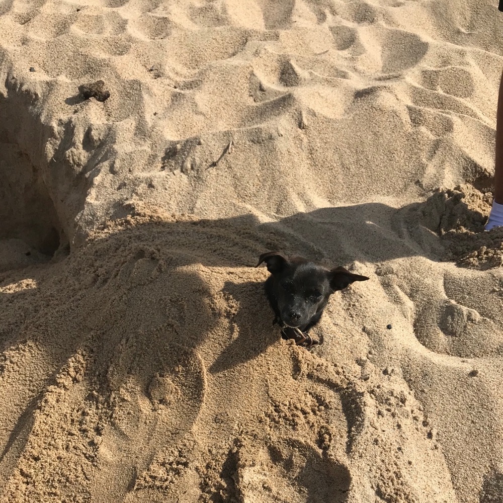 Meet your Posher, Marcos